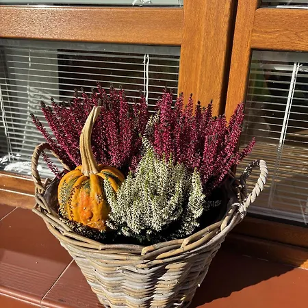 Apartmanovy Dom Anna Appartement