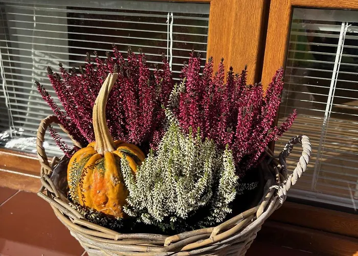 Apartmanovy Dom Anna דירה